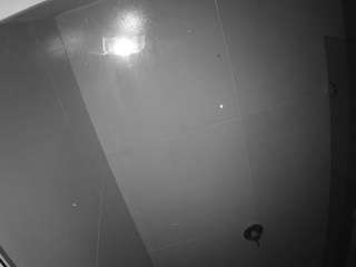 voyeurcam casa salsa bathroom 10